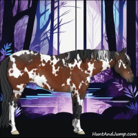 Horse Color:White Spotted Brown 