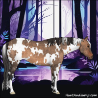 Horse Color:White Spotted Brown Dun 