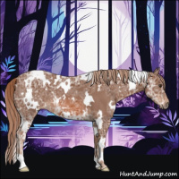 Horse Color:White Spotted Chestnut Ice 