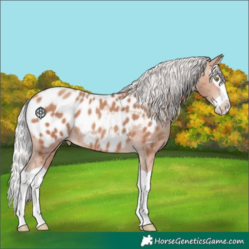 Horse Color:Silver Sable Champagne Splash Blanket 