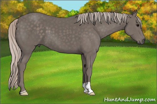 Horse Color:Silver Black 