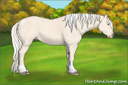 Horse Color:Cremello Tobiano 