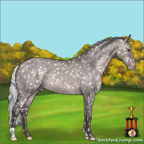 Horse Color:Platinum Silver Brown Dun Snowflake Varnish 