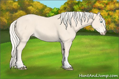 Horse Color:Cremello Tobiano 