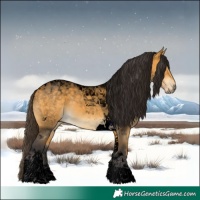 Horse Color:Void Buckskin Tobiano 