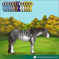 Horse Color:Liver Chestnut Sabino and White Spotted Liver Chestnut Sabino