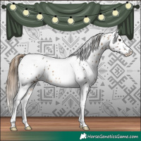 Horse Color:White Spotted Buckskin Tobiano Leopard Rabicano 