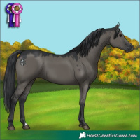 Horse Color:Grullo