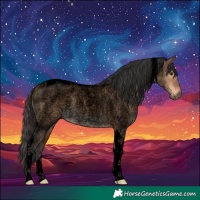 Horse Color:Void Brown Roan Dun Tobiano 