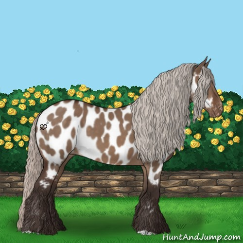 Horse Color:Silver Brown Dun Near Leopard
