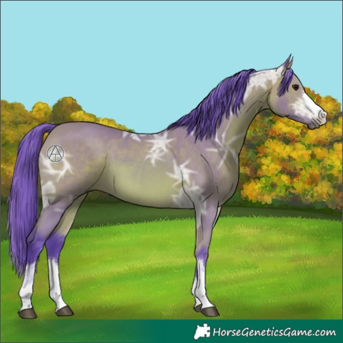 Horse Color:Watercolor Bay Ice 
