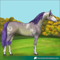 Horse Color:Watercolor Bay Ice 