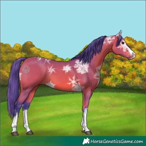 Horse Color:Watercolor Bay Ice 