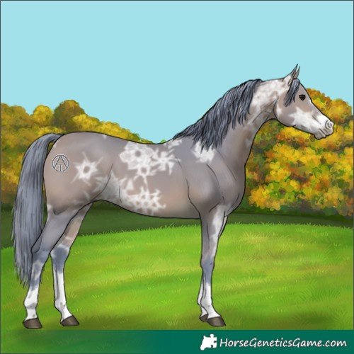 Horse Color:Watercolor Bay Ice