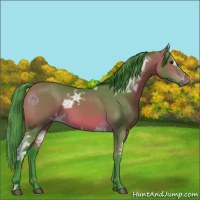 Horse Color:Watercolor Bay Ice 