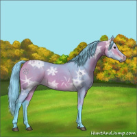 Horse Color:Watercolor Buckskin Ice 