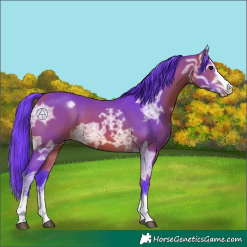Horse Color:Watercolor Bay Ice 