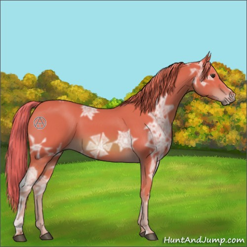 Horse Color:Watercolor Chestnut Ice 