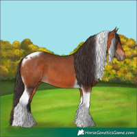Horse Color:Bay Tobiano 