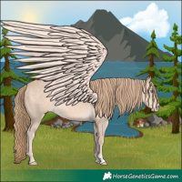 Horse Color:Chocolate Perlino 