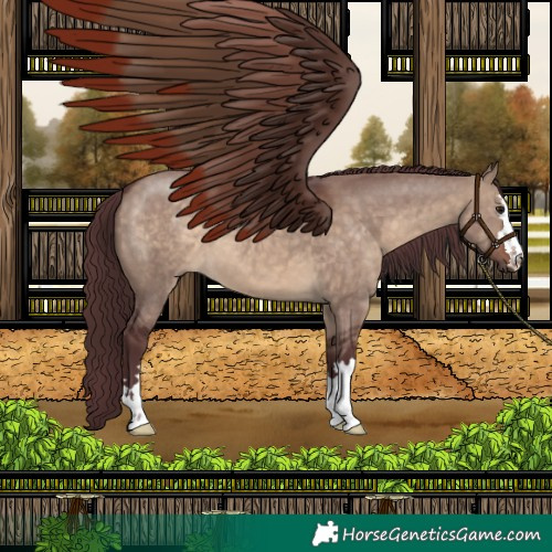 Horse Color:Chocolate Brown Dun 
