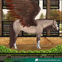 Horse Color:Chocolate Brown Dun 