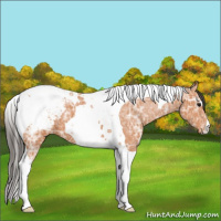 Horse Color:Bay Ice Tobiano Snowcap 
