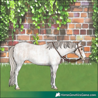 Horse Color:Silver Brown Ice Roan Dun Sabino 