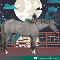 Horse Color:Grullo Snowcap 