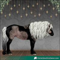 Horse Color:Void Watercolor Silver Bay Roan Dun Splash Tobiano 