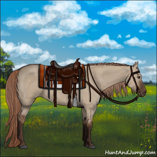 Horse Color:Liver Red Dun Roan