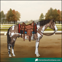 Horse Color:White Spotted Liver Red Dun Sabino 