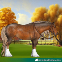 Horse Color:Chocolate Palomino 