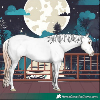 Horse Color:Classic Champagne Dun Tobiano Varnish 