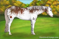 Horse Color:White Spotted Silver Brown 