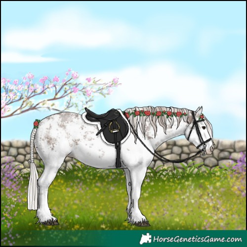 Horse Color:White Spotted Silver Black Sabino