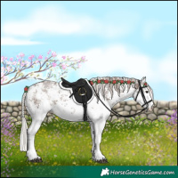 Horse Color:White Spotted Silver Black Sabino 