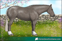Horse Color:Silver Black 