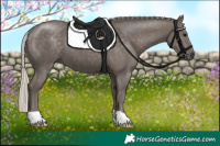 Horse Color:Silver Black 