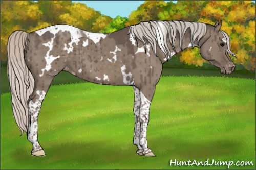 Horse Color:White Spotted Silver Grullo Tobiano Varnish Brindle
