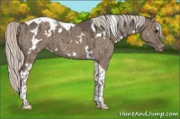 Horse Color:White Spotted Silver Grullo Tobiano Varnish Brindle 