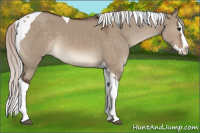 Horse Color:Silver Brown Dun Splash Tobiano 