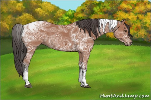 Horse Color:Bay Ice Tobiano Rabicano 