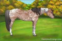 Horse Color:Bay Ice Tobiano Rabicano