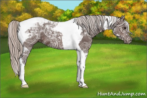 Horse Color:Silver Brown Ice Tobiano