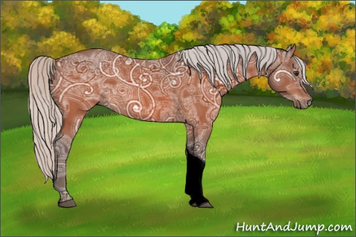 Horse Color:Void Silver Brown Ice Tobiano Rabicano 