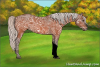 Horse Color:Void Silver Brown Ice Tobiano Rabicano 
