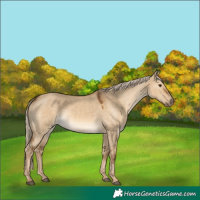 Horse Color:Chocolate Palomino Dun Sabino 