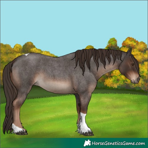 Horse Color:Liver Red Roan Tobiano