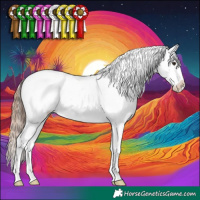 Horse Color:Classic Champagne Sabino Snowcap 